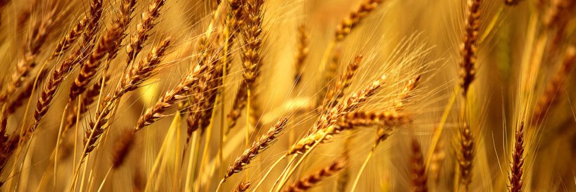 5A0052B4-1FA9-4BD1-B329-66DBD2747BA0