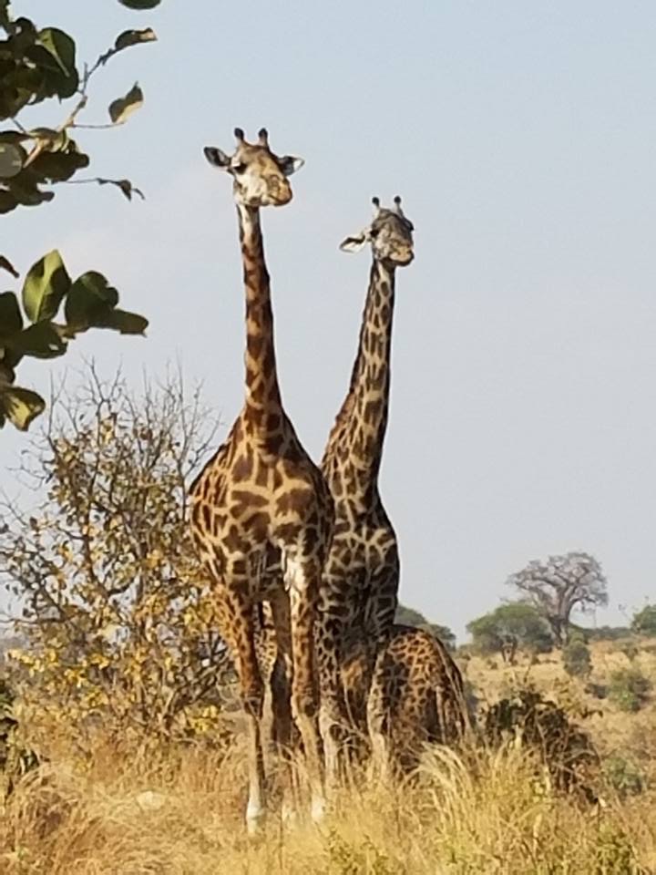 D300F698-C069-4F5D-810E-0EFE69A4999A