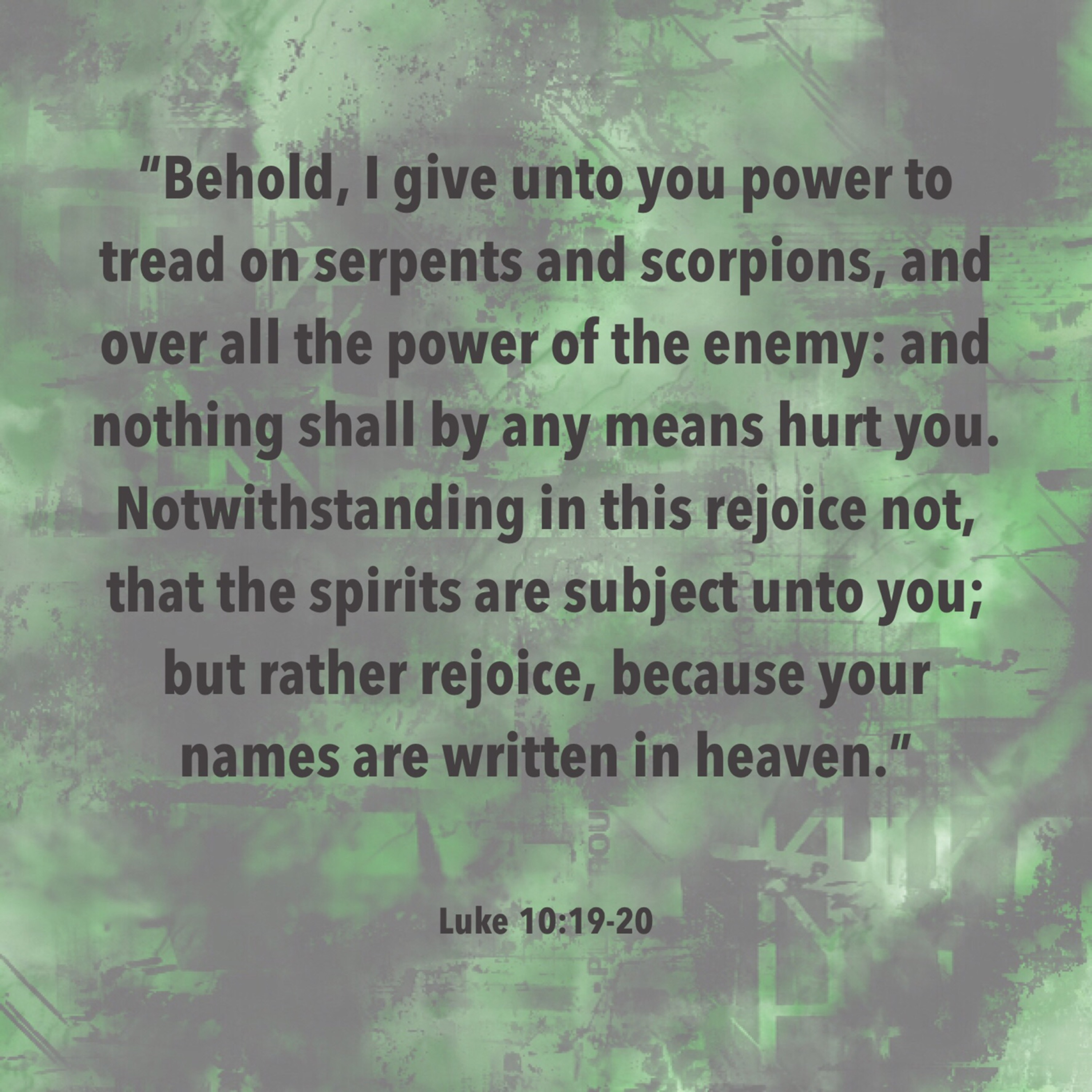 image_544447846968166