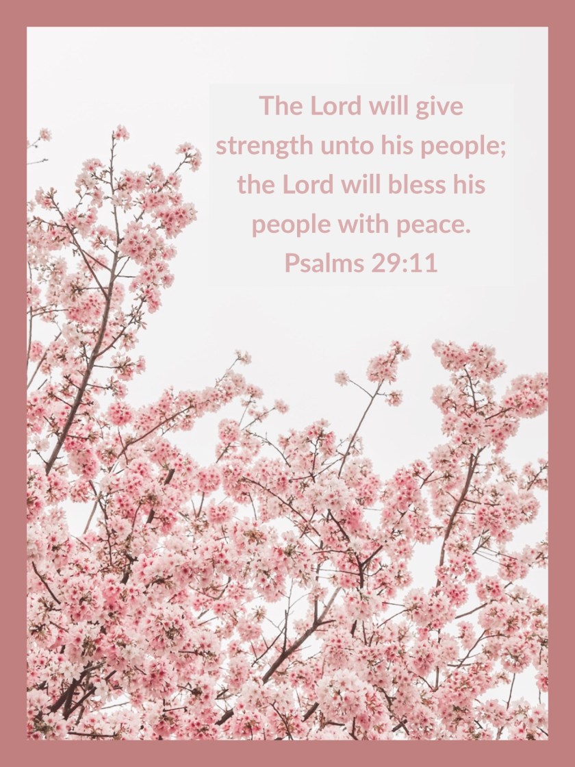 C61A231A-7420-4E5E-91D2-0880AF6FDDAA