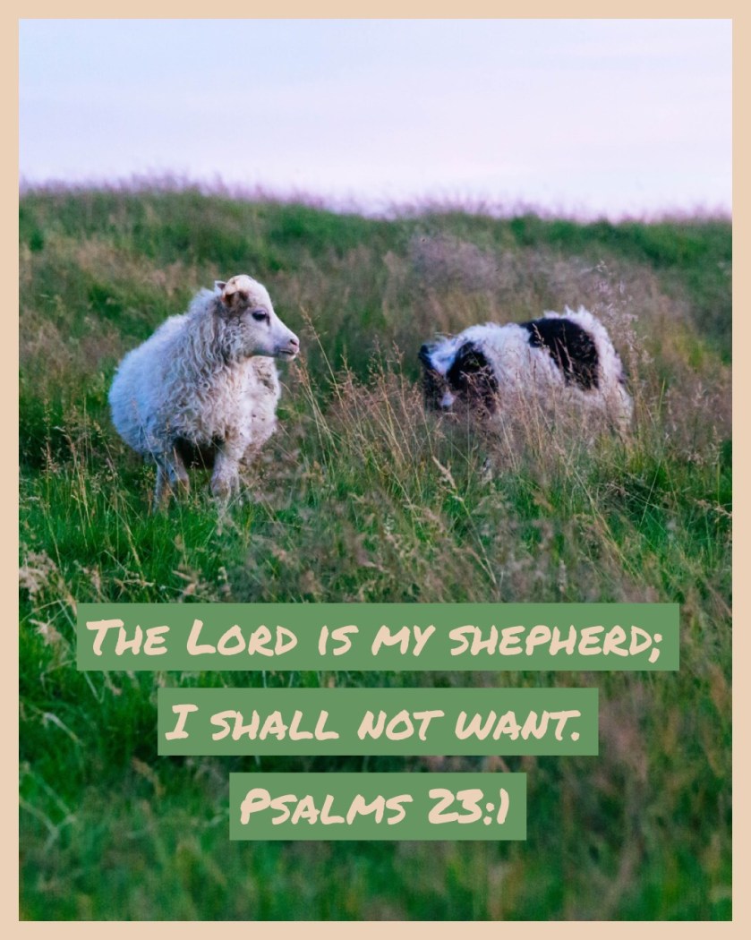 124C34A7-4DE3-4101-8590-4513B7CD6ED8