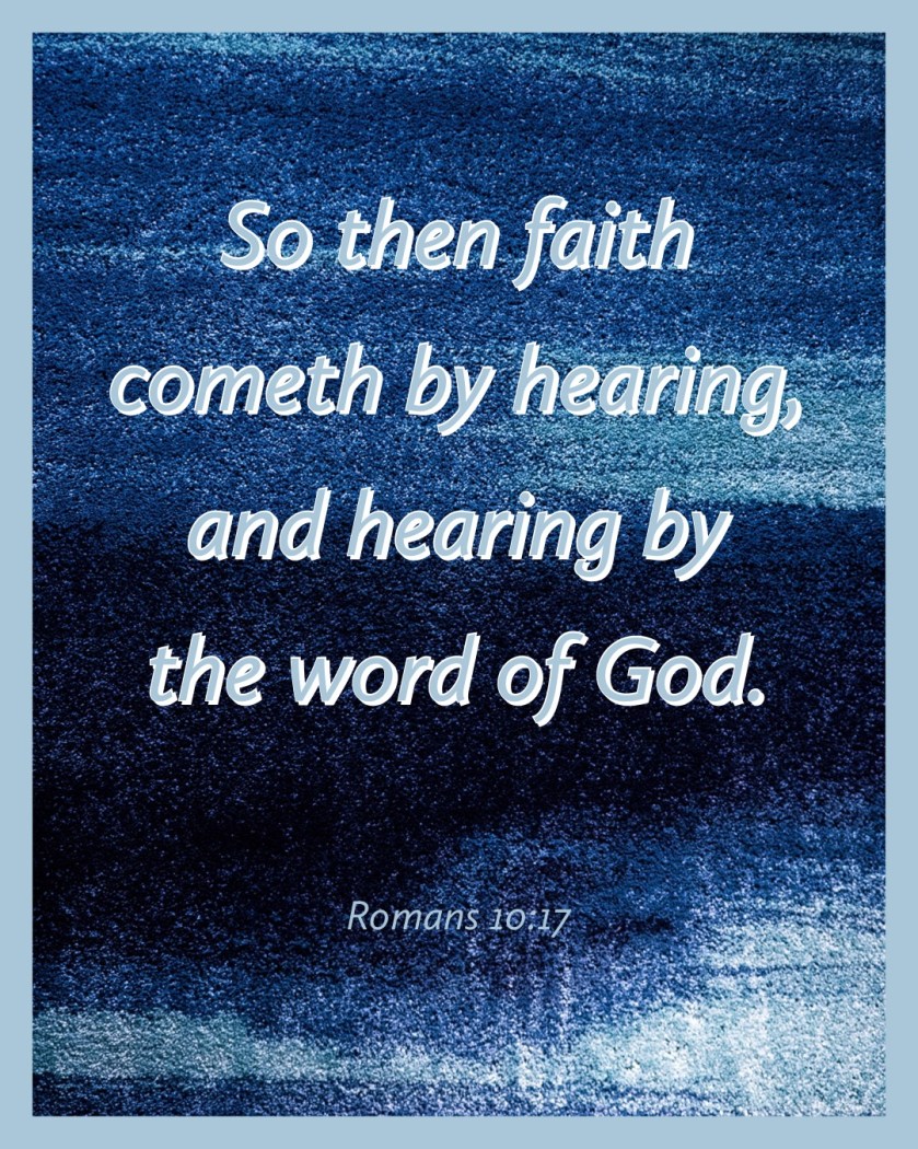 81ACE33F-D323-4EBD-84CE-DA8EE9884B7A