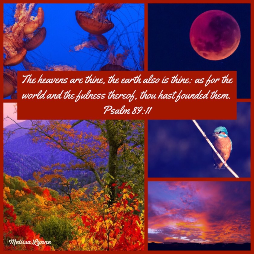 46B83339-6840-4937-BB73-8C84D83EF407