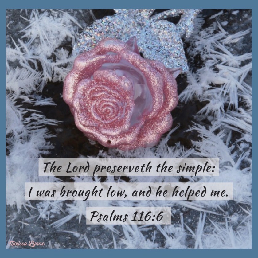 bd688f84-6a16-415b-b6f2-a1993d30be2a