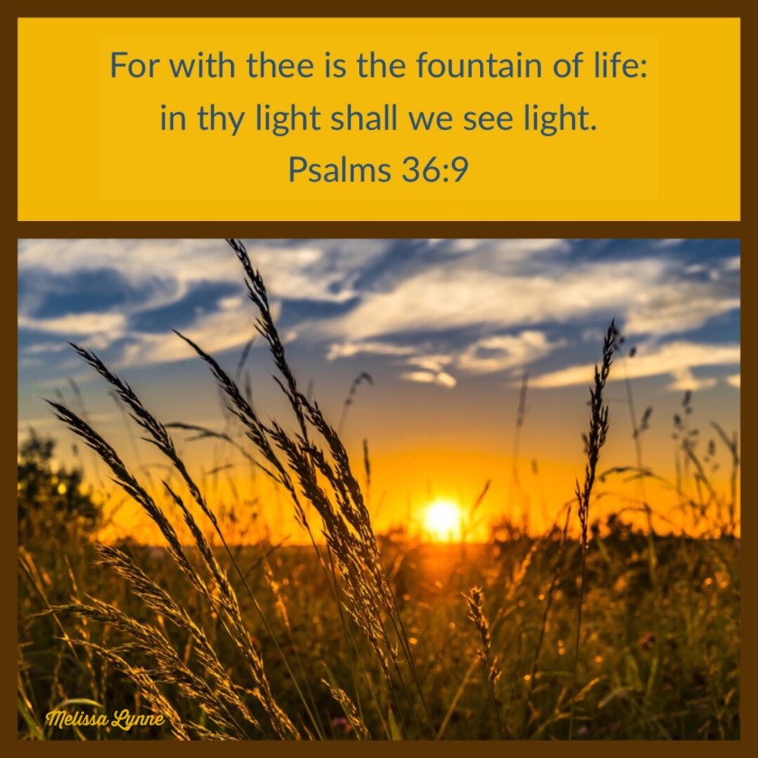 d91fc66a-4a11-45ed-9be1-75375e709730